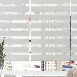 Zebra blinds