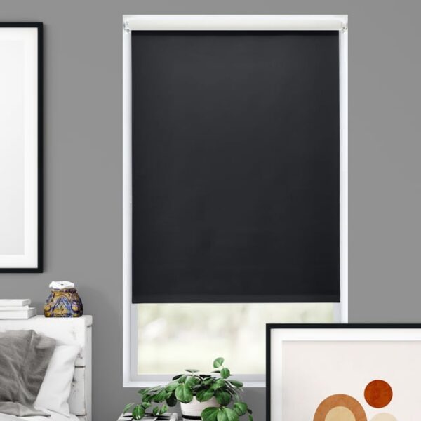 Roller shades - Image 3