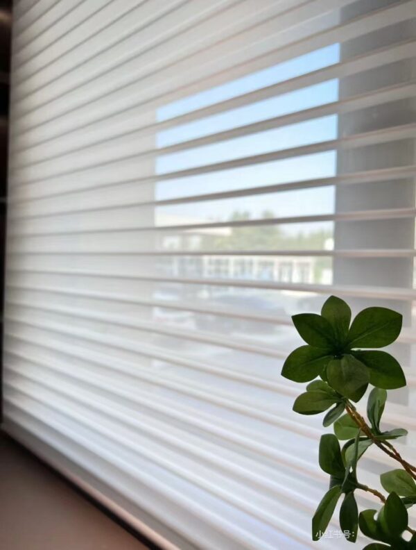 Shangri-la blinds